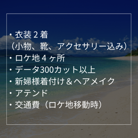 ドレスプラン プレミアムフォト