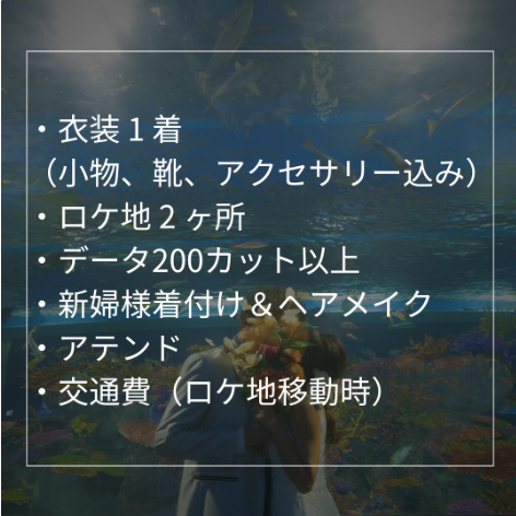 ドレスプラン スタンダードフォト